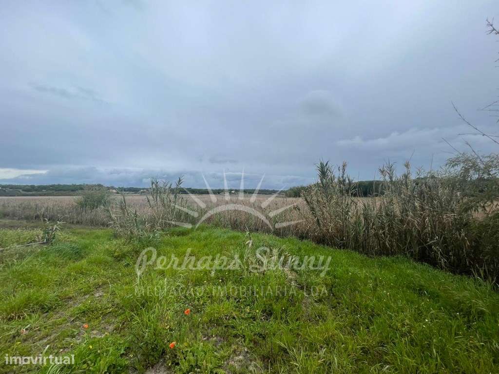 Quintinha Lagoa de Melides-10