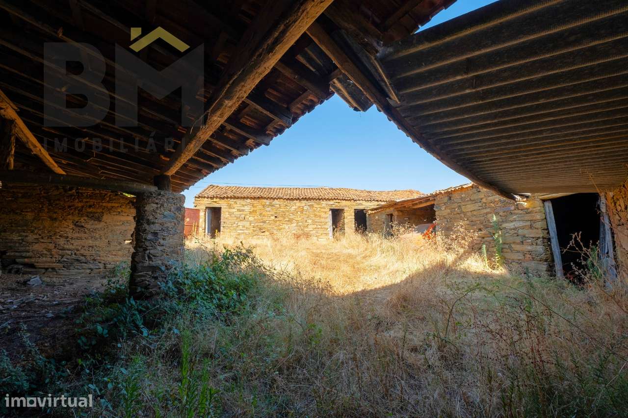 Quintinha  Venda em Sarzedas,Castelo Branco-15