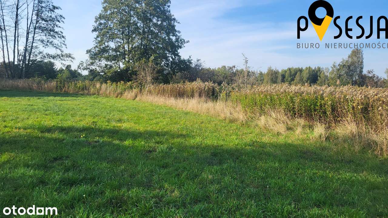 Działka budowlana 5700 m2  Antoninów - Piaseczno-1