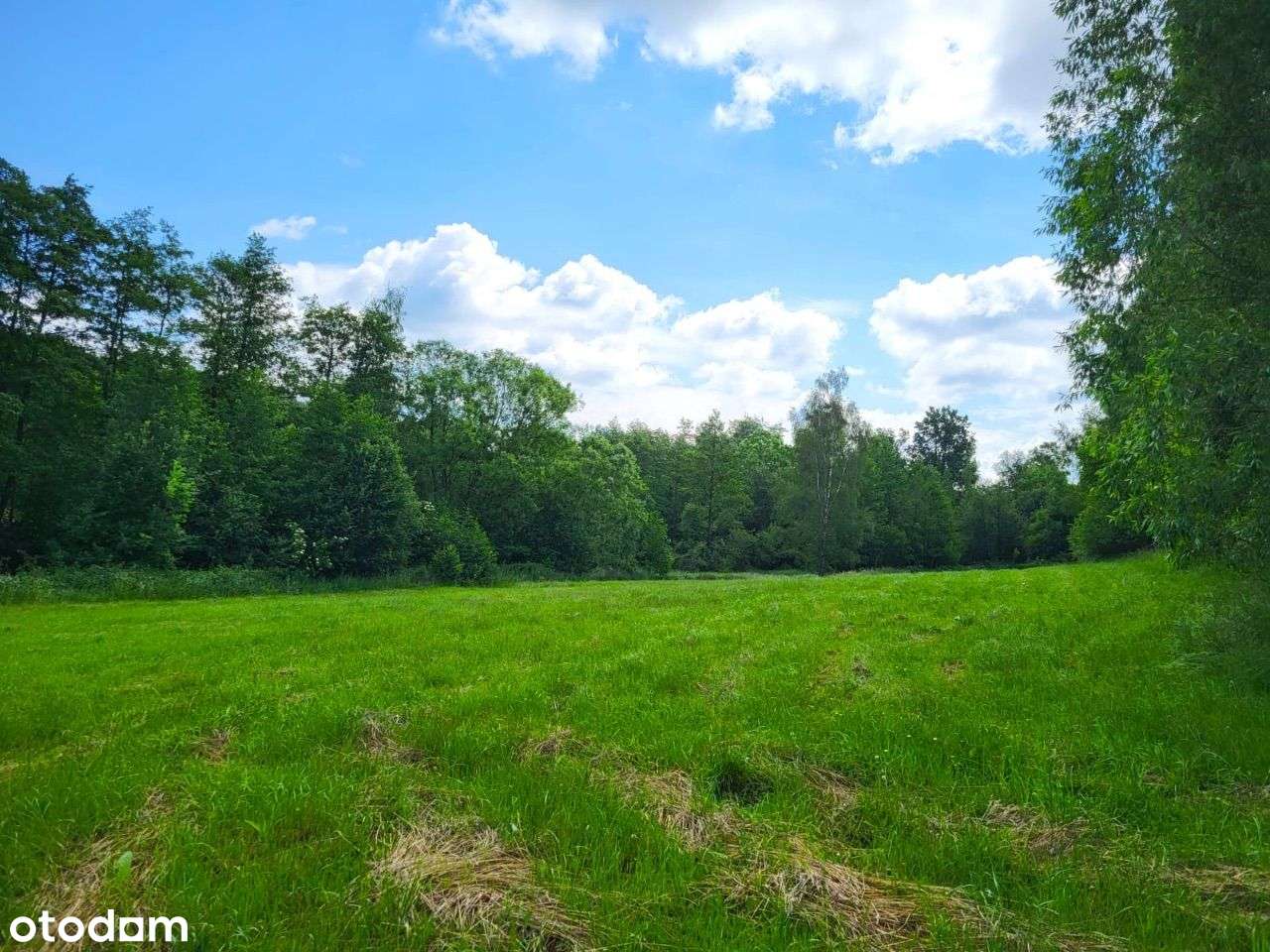 Urokliwa działka zagrodowa w otoczeniu lasu - Pełny obrazek: 4/11
