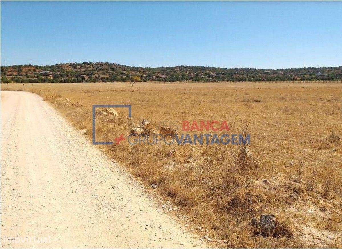 Terreno rústico com 8.980m² destinado a cultura arvense, situado em... - Grande imagem: 3/6