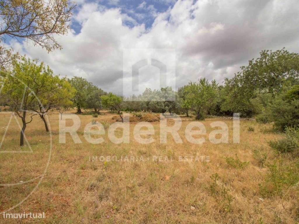 Terreno Rústico, Loulé, Boliqueime - Grande imagem: 2/5