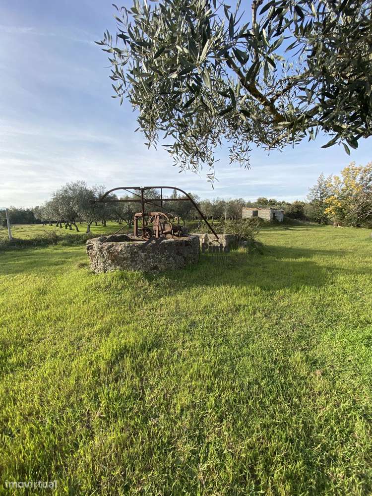 Quinta com arrecadação - Grande imagem: 4/11