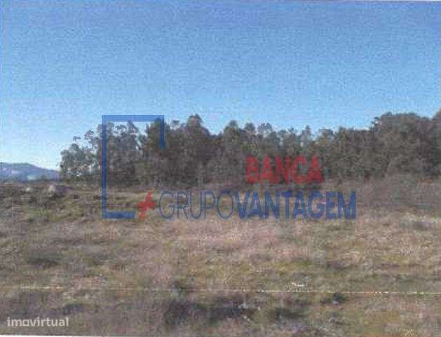 LOTEAMENTO MORADIAS - POVOA DE LANHOSO - Grande imagem: 3/12