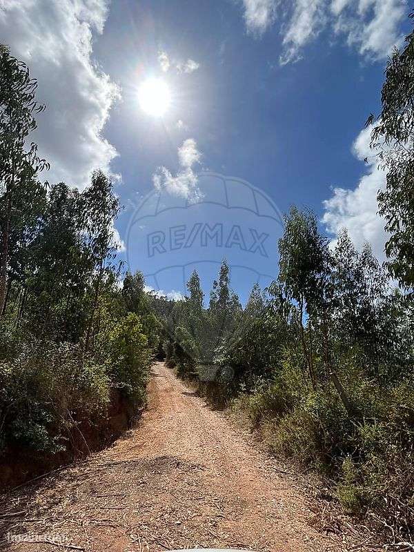 Terreno  para venda - Grande imagem: 3/3