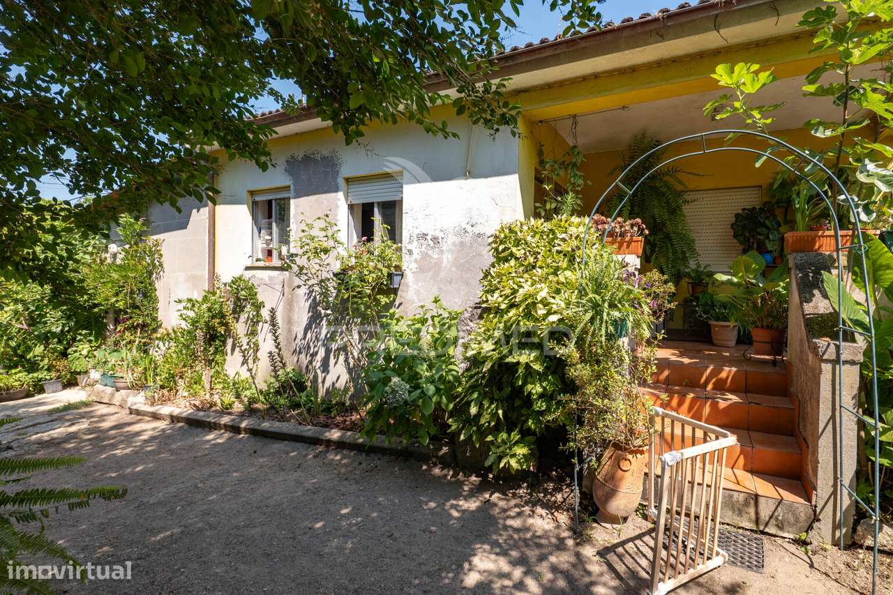 Quinta com dois artigos urbanos e um rústica com 5410 m2 junto á ci... - Grande imagem: 5/34