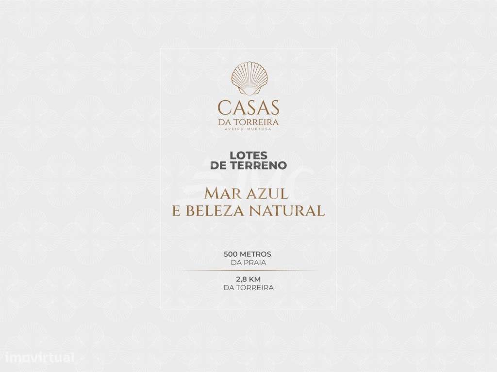 Terreno a 500mts da praia em zona tranquila - 2,5Km Torreira - Grande imagem: 5/17