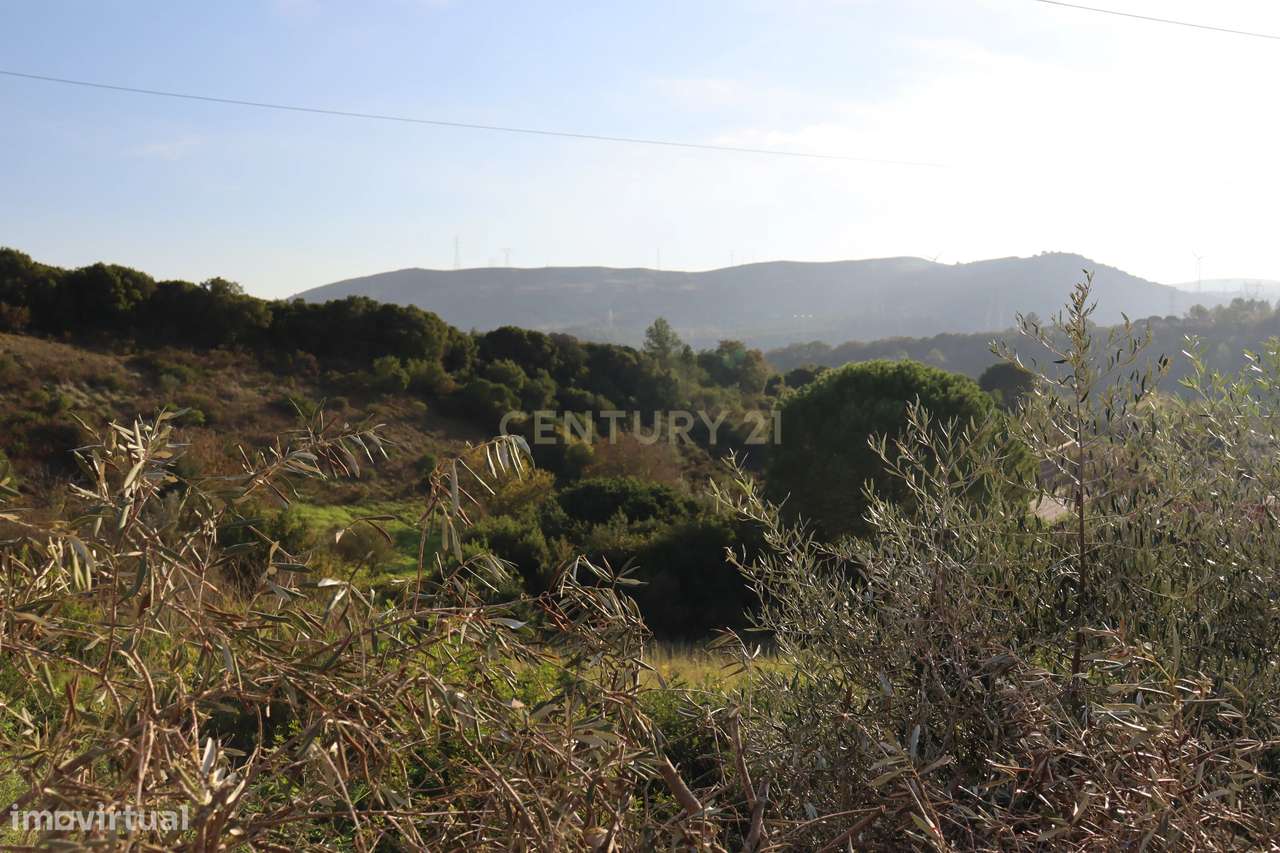 Terreno urbano com casa em ruína na Bemposta, Bucelas - Grande imagem: 4/23