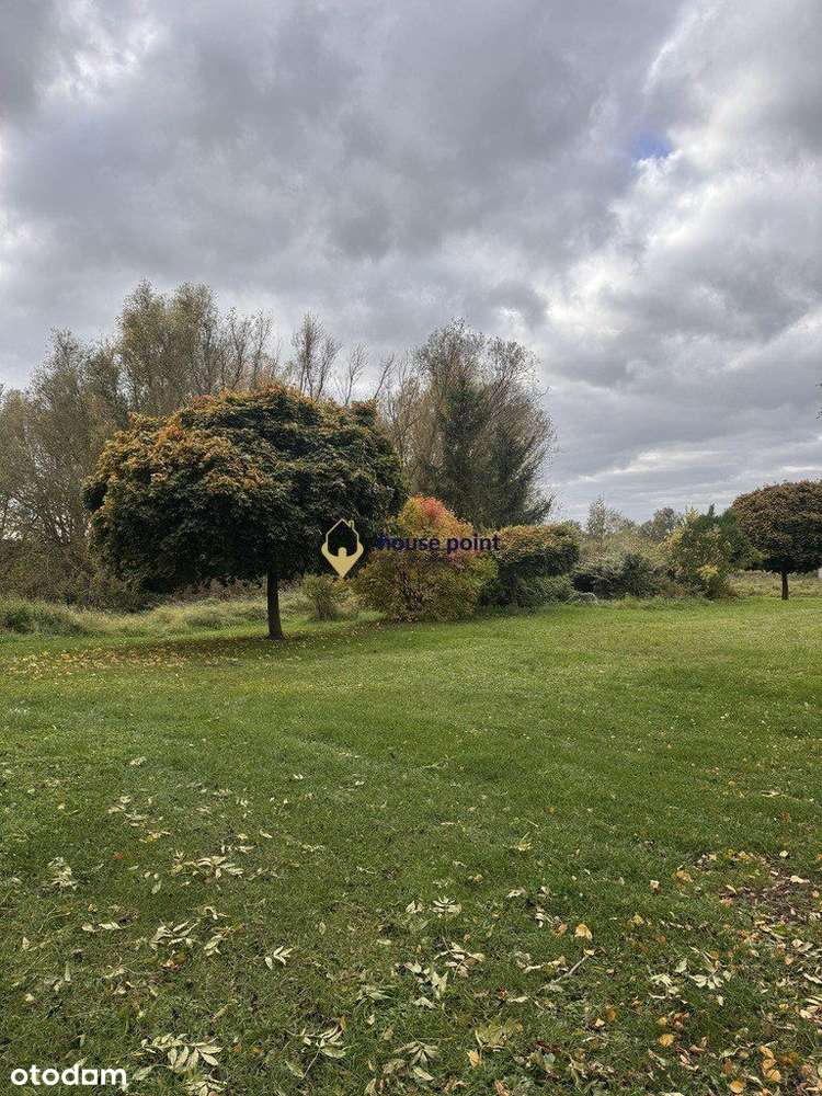 wyjątkowa działka w Rzepnowie, 15 minut od jeziora - Pełny obrazek: 4/6