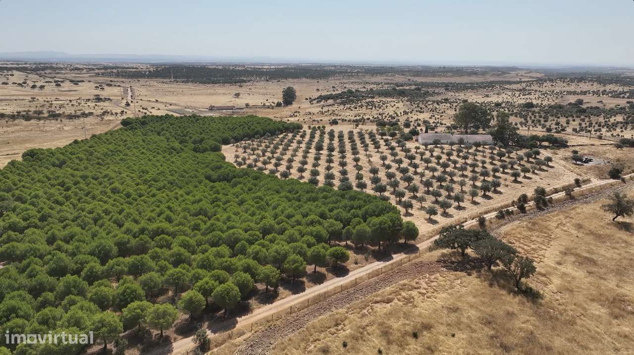 MONTE ALENTEJANO NO ALANDROAL, ÉVORA-9