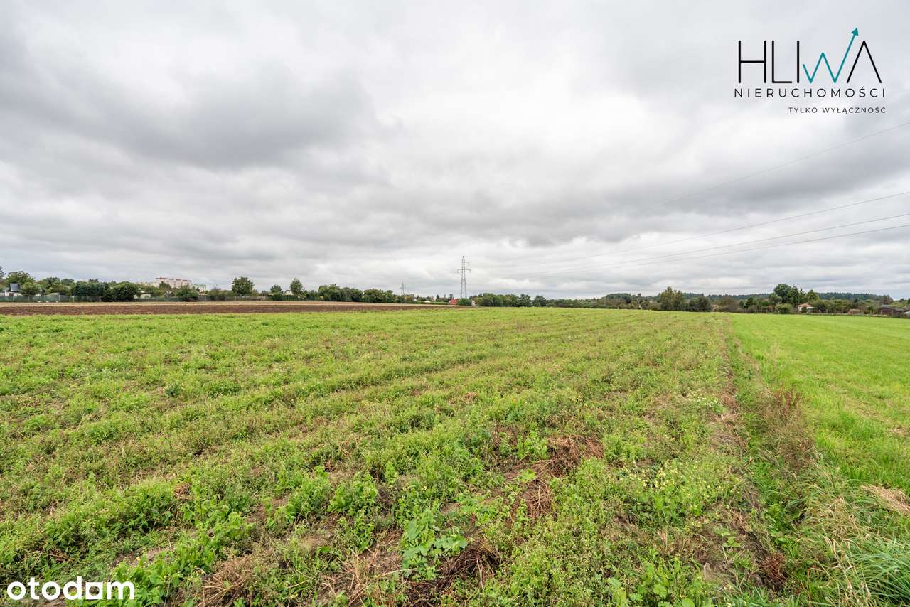 Działki rolne Gdynia Obłuże, powierzchnie od 3003 m2-5