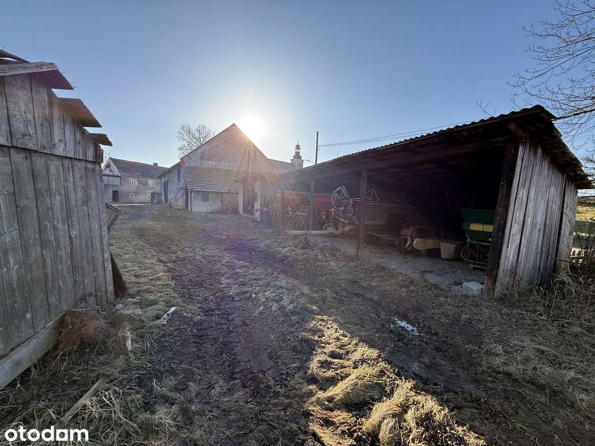 Sosnowa ,Dom wolnostojący + Gospodarstwo-8