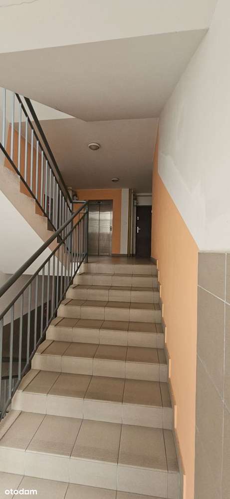 Wrocław, Krzyki, Przedmieście Oławskie,-18