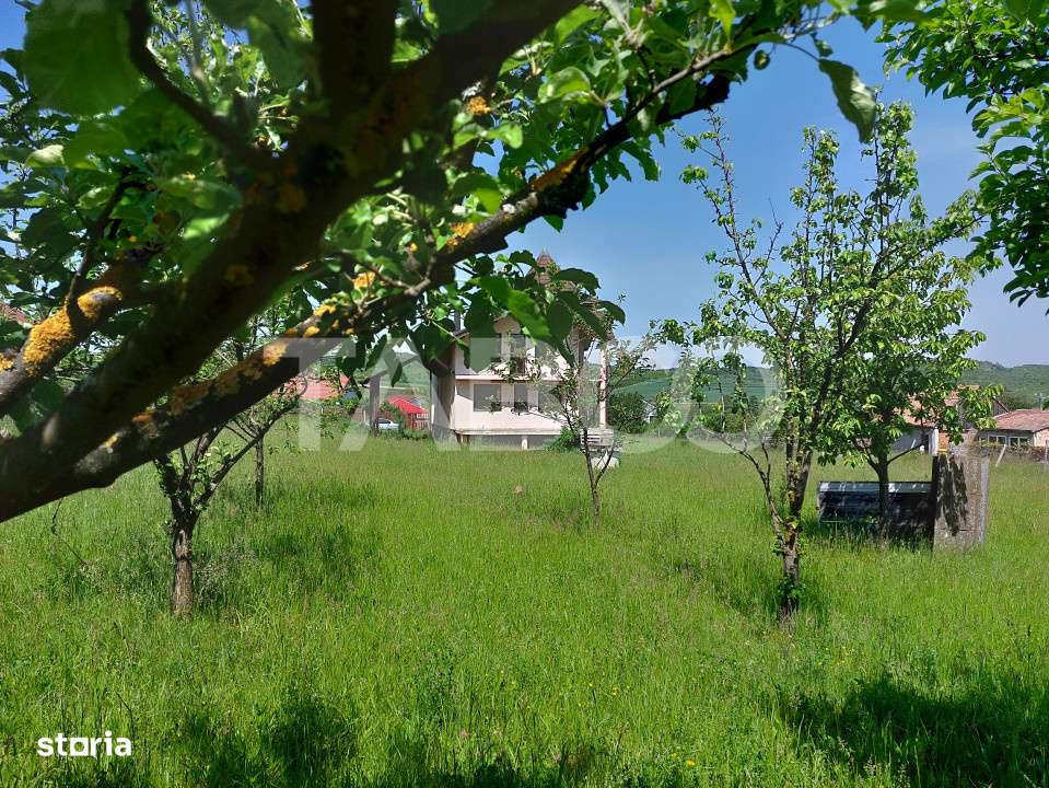 Casa individuala 5 camere cu teren 2000 mp Sura Mare Hamba Sibiu - Imagine principală: 2/19