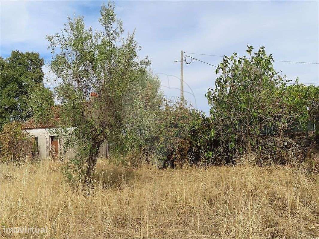 Quinta  para venda-14