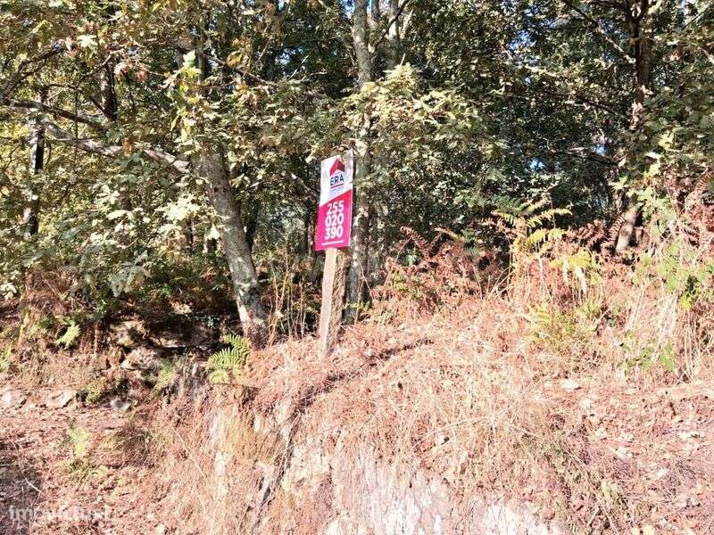 Terreno Rústico / Marco de Canaveses, Vila Boa do Bispo - Grande imagem: 2/6