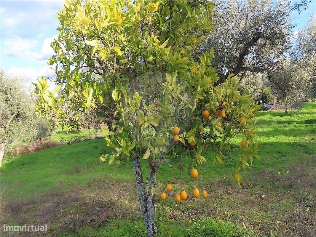 Quinta  para venda - Grande imagem: 2/32