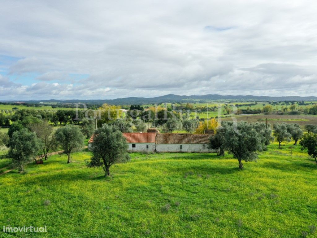 Lindissima herdade com 122 ha, 2 barragens, monte antigo ...