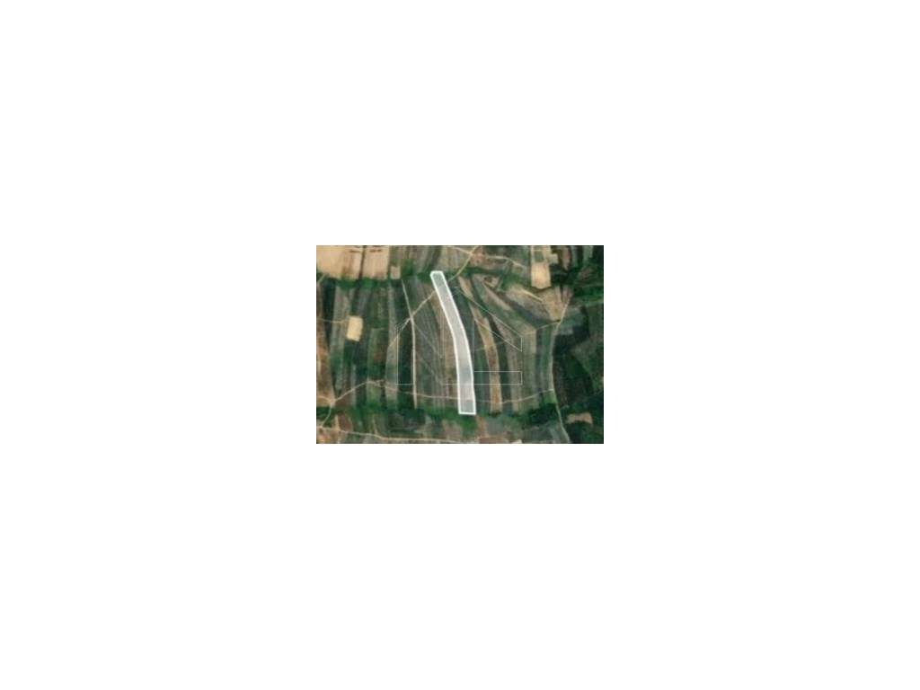 Terreno Rústico com 38.038 m² na Zona Industrial de Albergaria-a-Velha-0