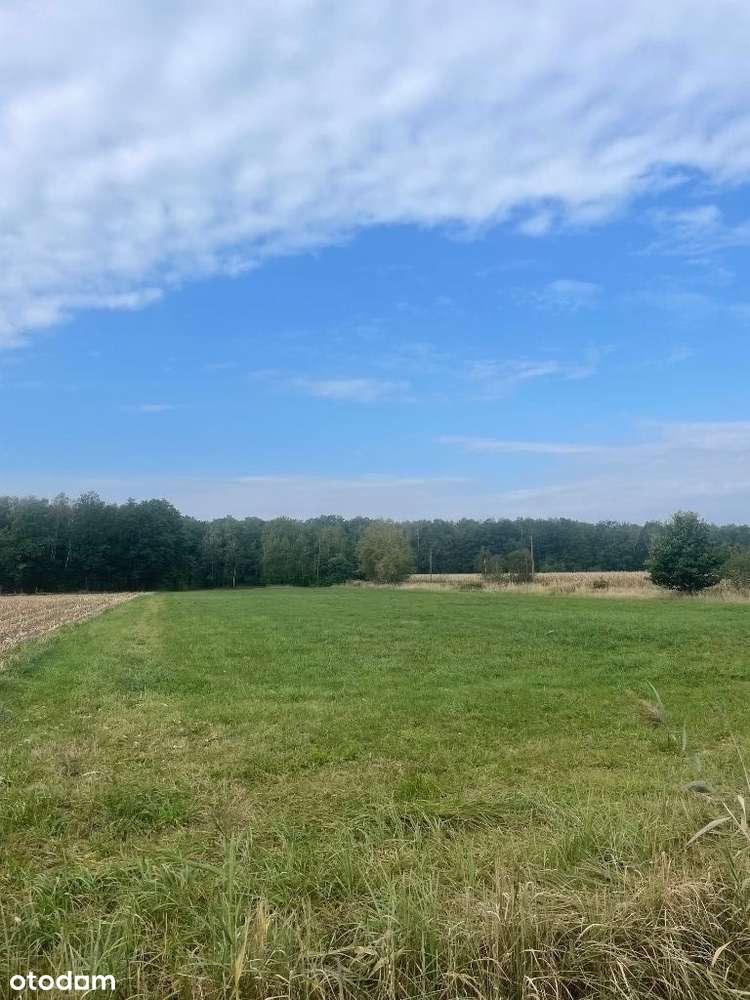 Działka rolna. Brak planu zagospodarowania. Droga. - Pełny obrazek: 4/10