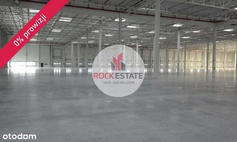 Magazyn 7000 m2 przy A2 - 0 % prowizji - Pełny obrazek: 4/6