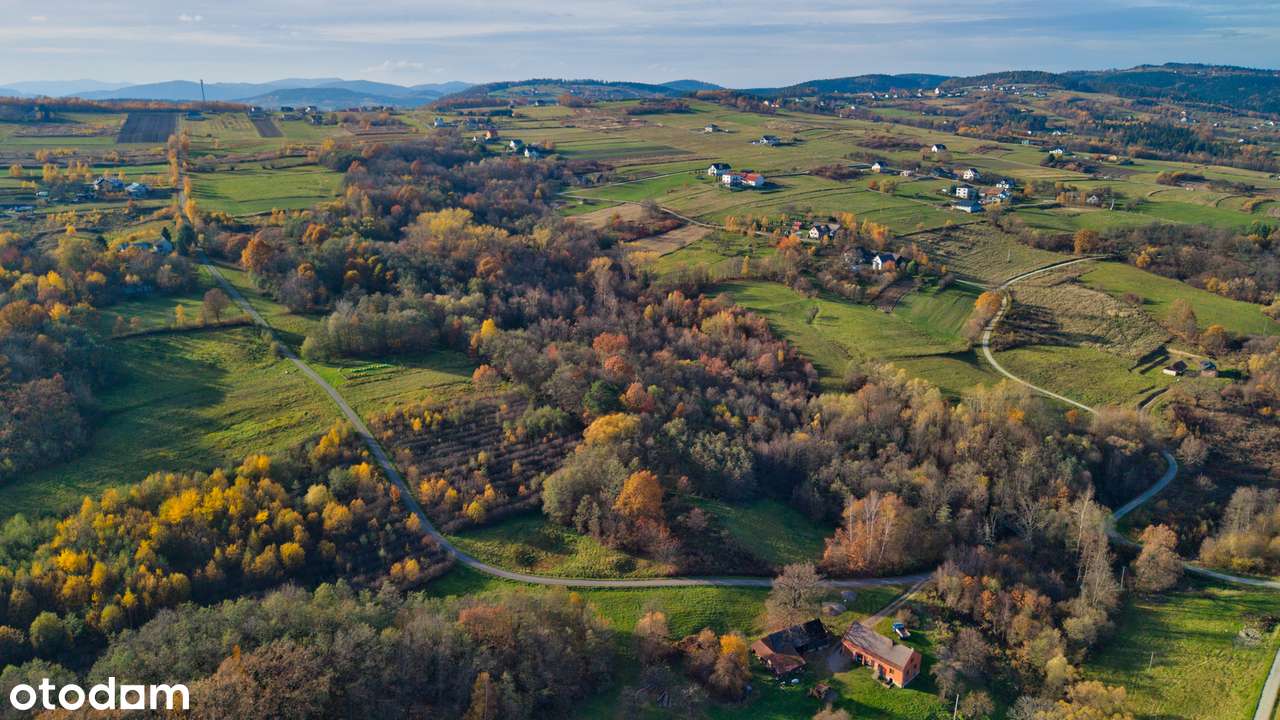 Działka rolna + rolno-leśna  3,5 ha - TRZETRZEWINA-6