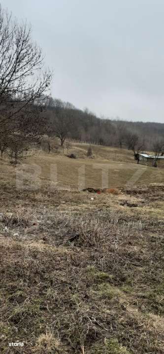 Teren cu casa batraneasca de 85 mp utili cu teren de 6700 mp in Ipatel - Imagine principală: 2/5