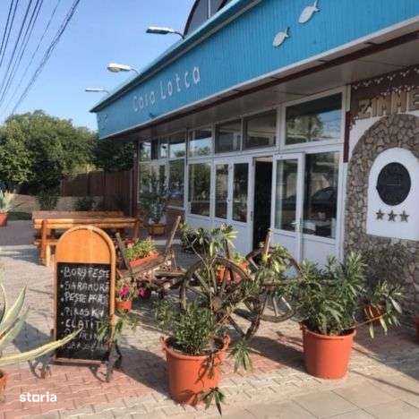 Pensiunea Lotca o pensiune de vis!-0