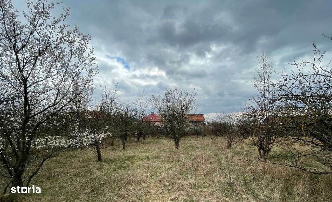 Targoviste-Priseaca-5