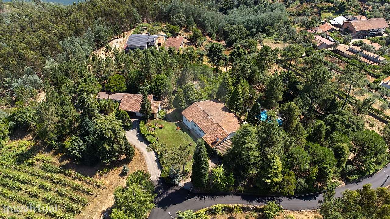 Quinta T5 para venda - Grande imagem: 5/40