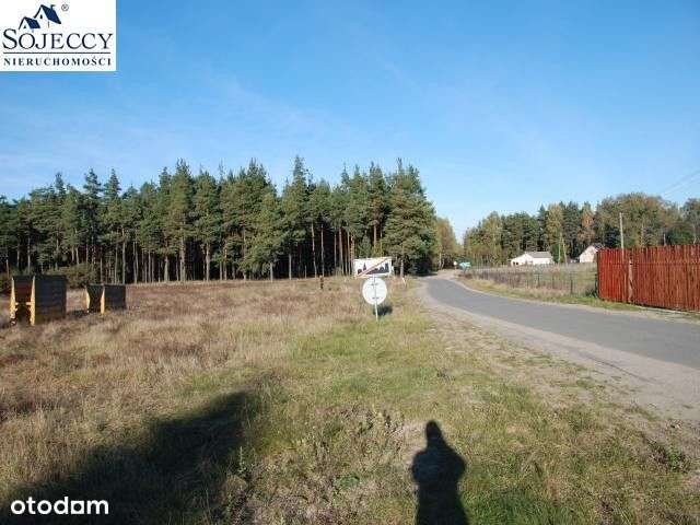 Działka siedliskowa - Krzyż - 12 001 m2-1