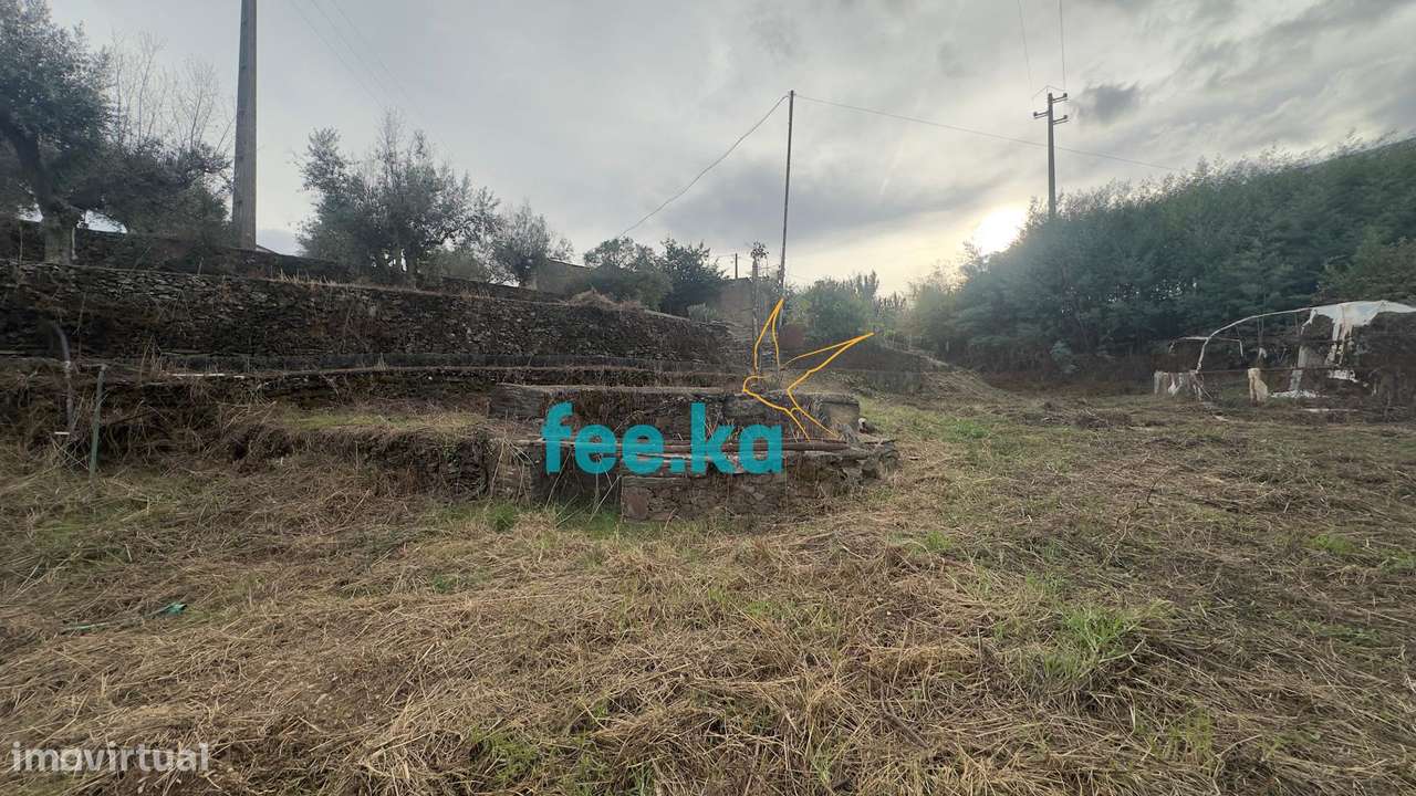 Quintinha - Grande imagem: 5/48