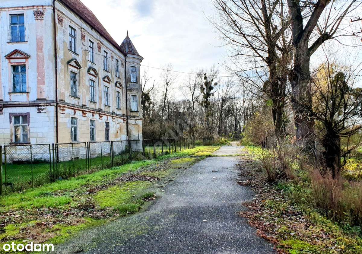 Zespół pałacowy(21ha) _ z DUŻYM terenem pod bud. mieszkaniowe(MPZP) - Pełny obrazek: 4/15