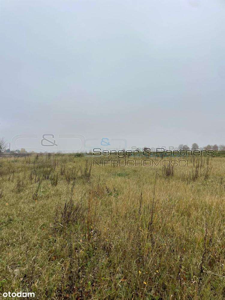 137/18706/OGS - Pełny obrazek: 5/11