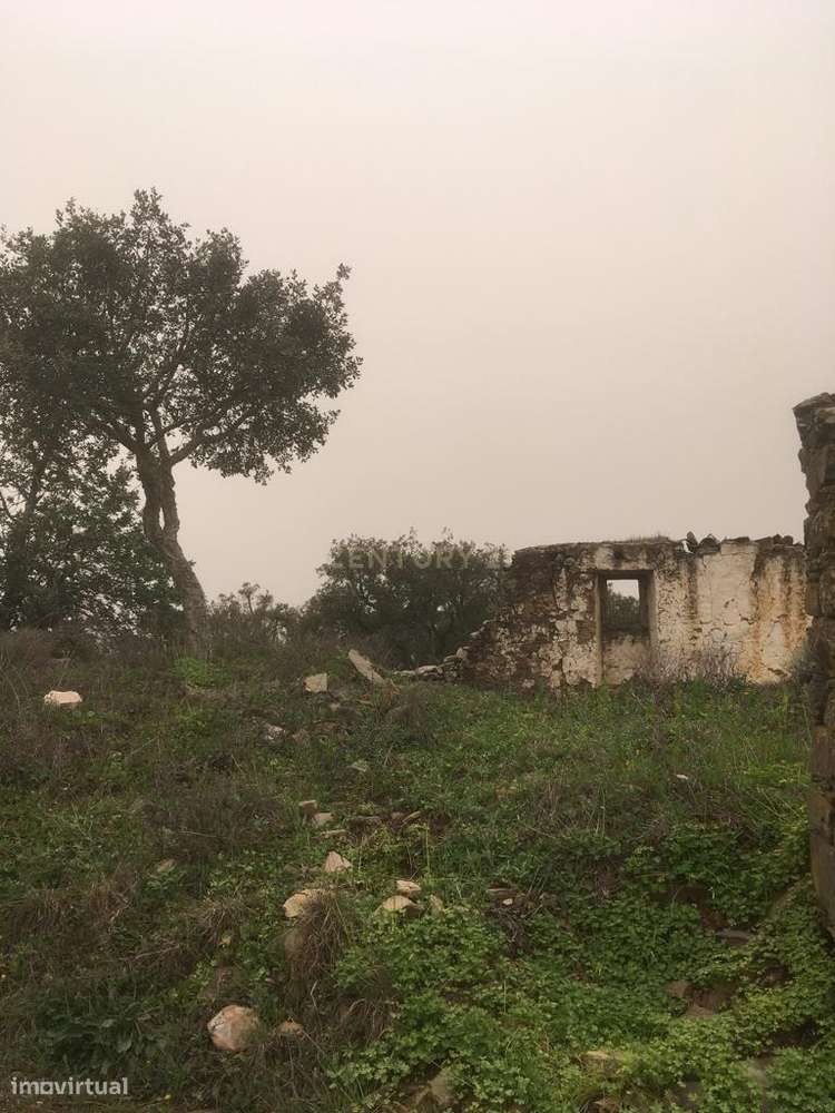 Terreno Urbano em São Barnabé - Grande imagem: 2/4