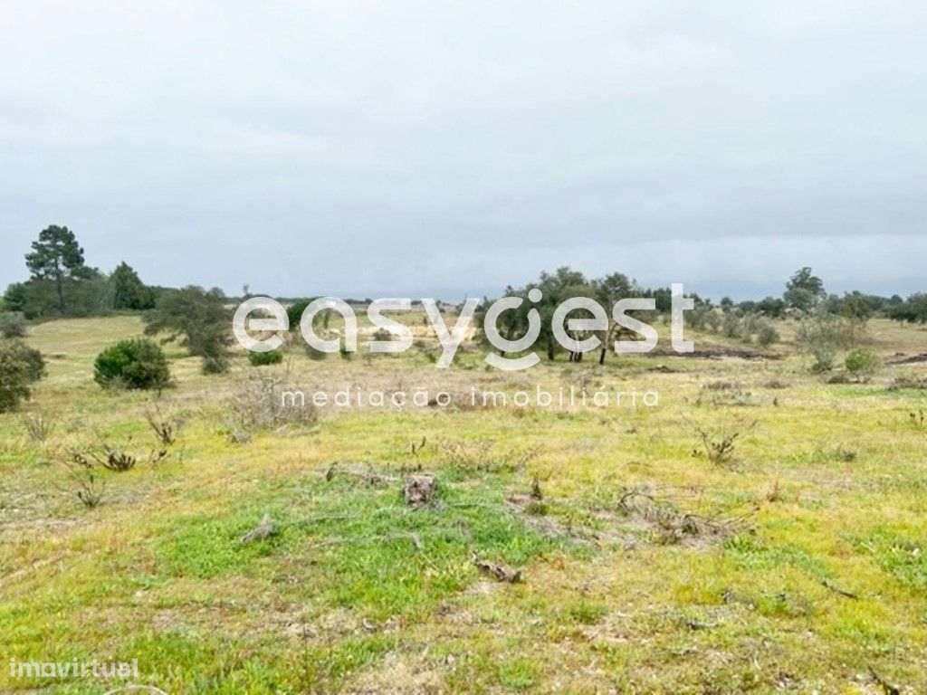 Terreno com 19.585 m2, localizado na Asseiceira, Poceirão