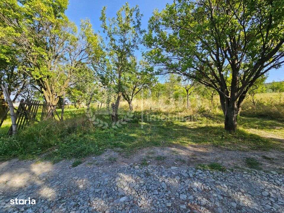 Teren intravilan 2800mp ideal pentru duplexuri in Sat Gheorghieni! - Imagine principală: 2/2