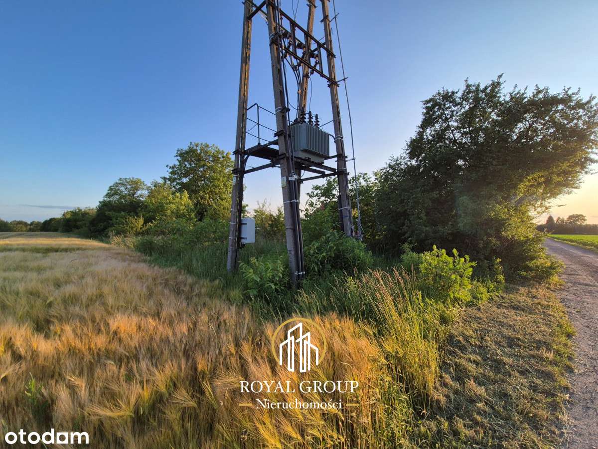 Do sprzedaży działka 56 arów na Węglinie - Pełny obrazek: 4/8