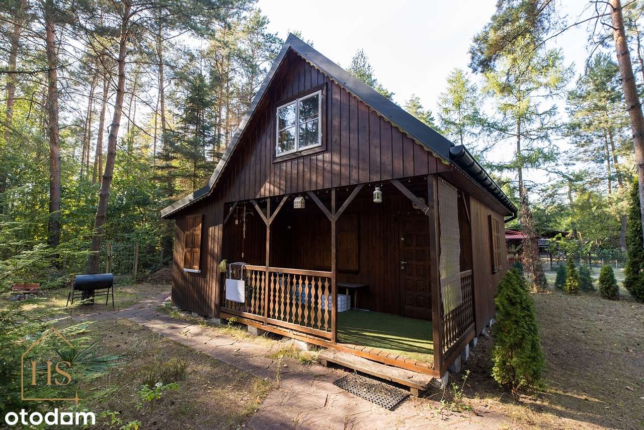 Urokliwa działka ROD "SOSENKA"  – idealne miejsce na rodzinne wypady!-1