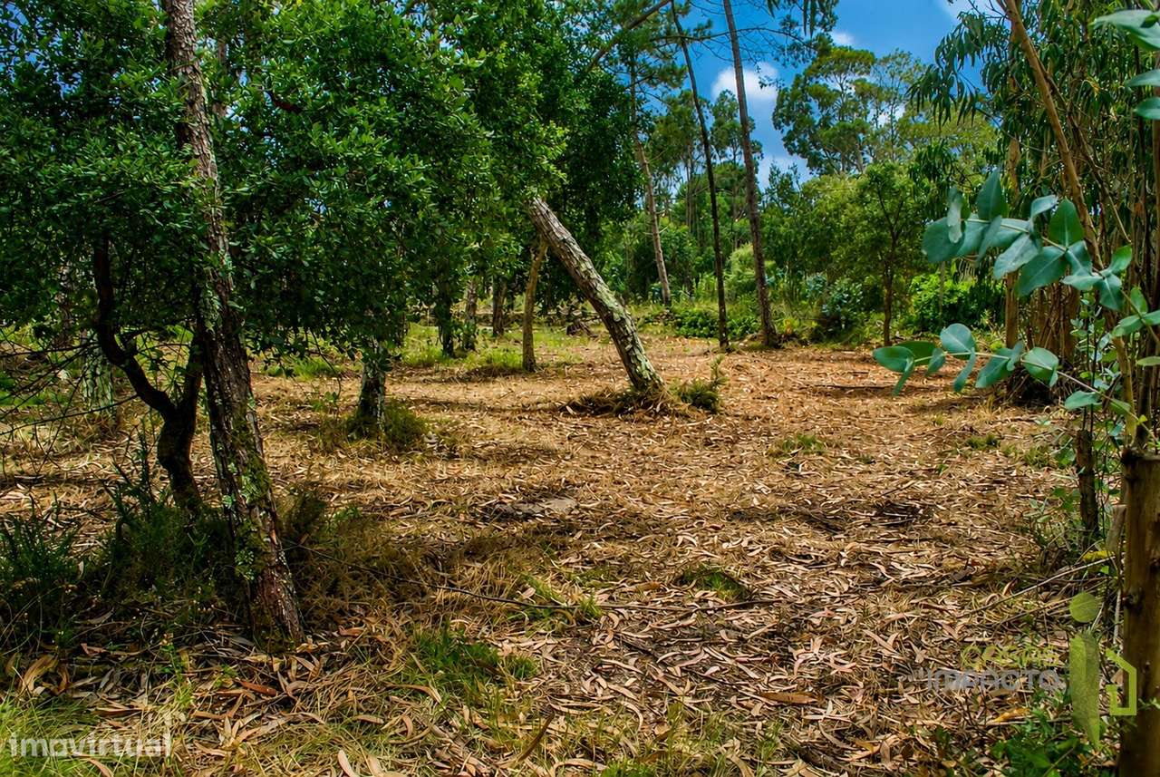 Terreno Rústico  Venda em São João das Lampas e Terrugem,Sintra-2
