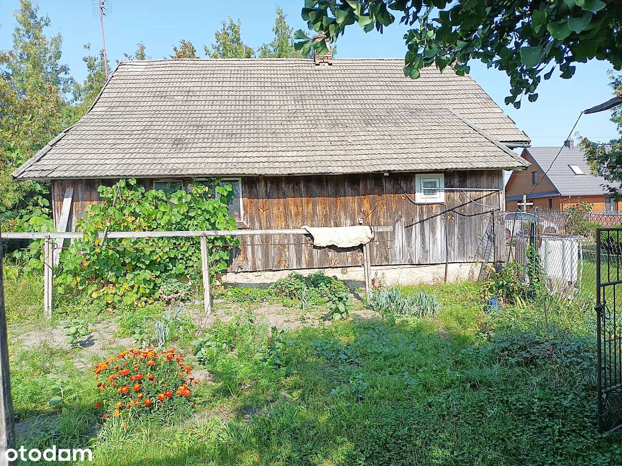 Sprzedam siedlisko w spokojnej okolicy: dom, stodoła i budynki gospoda - Pełny obrazek: 5/10