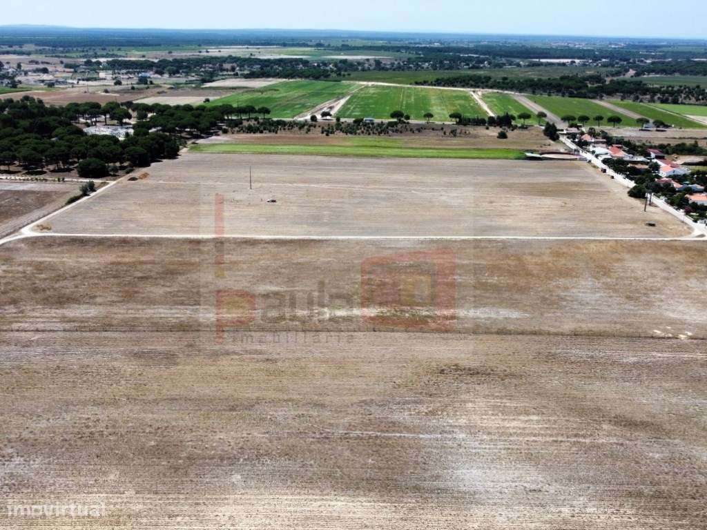 TERRENO 3.7HA - SANTO ISIDRO DE PEGÕES - Grande imagem: 2/3