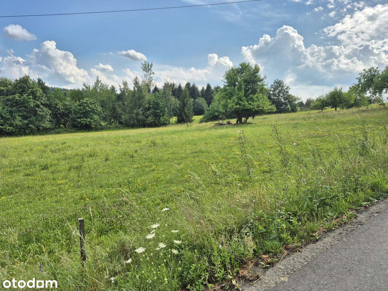 Działka, 4 000 m², Stare Rybie - Pełny obrazek: 2/5