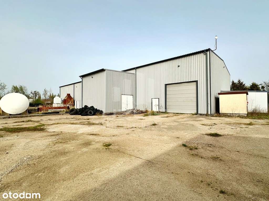 Hala produkcyjna - Pełny obrazek: 5/20