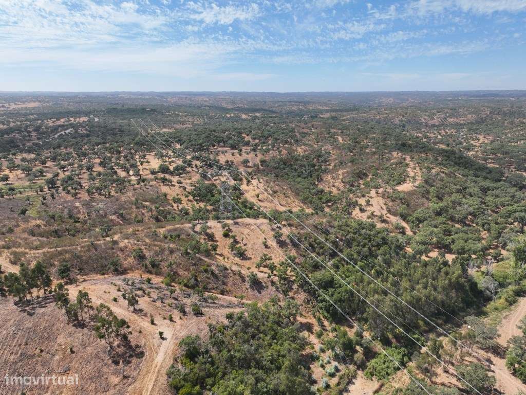 HERDADE COM 100 HECTARES E BASTANTE ARBORIZAÇÃO-58