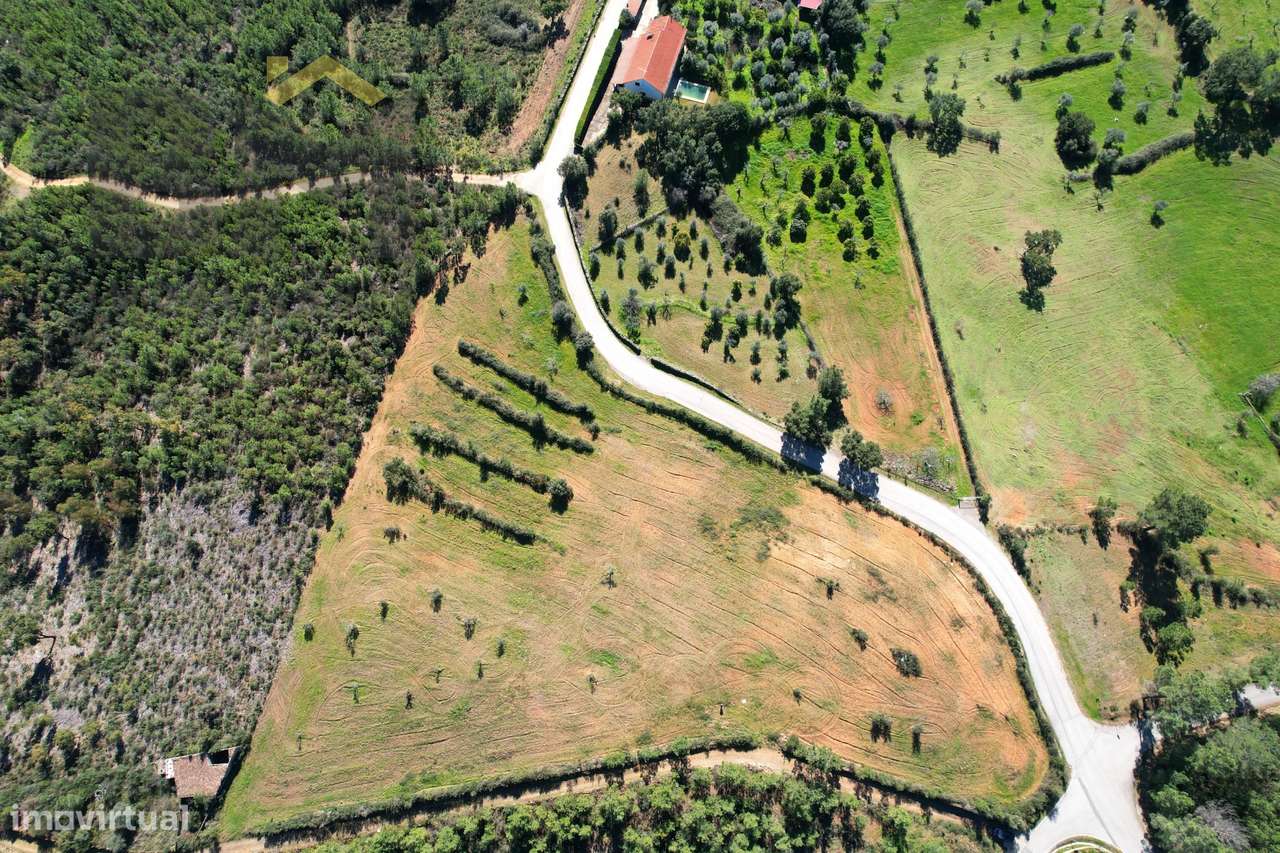 Terreno Rústico  Venda em Ninho do Açor e Sobral do Campo,Castelo Bran - Grande imagem: 4/8