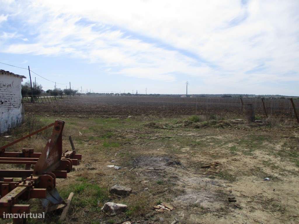 Quinta vinícola e olival, próximo da Vila de Redondo - Grande imagem: 4/10