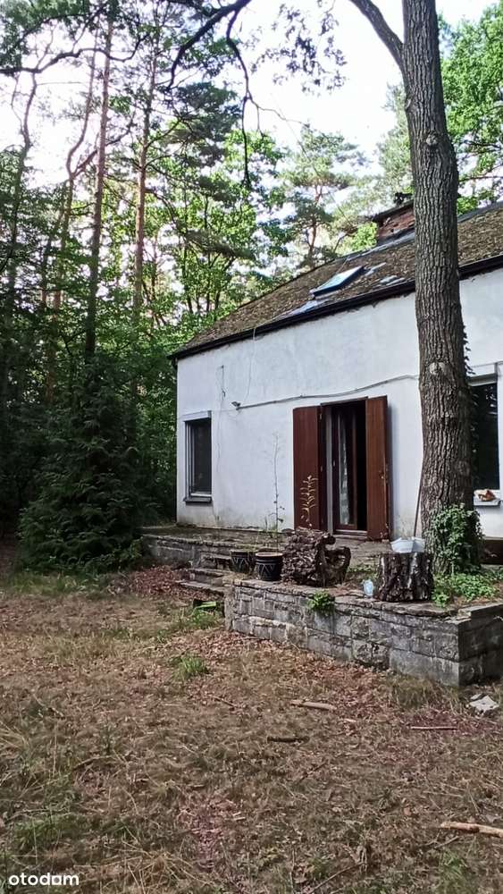 Zalesie Górne - działka mieszkaniowo usługowa z dorodnym starodrzewem-10