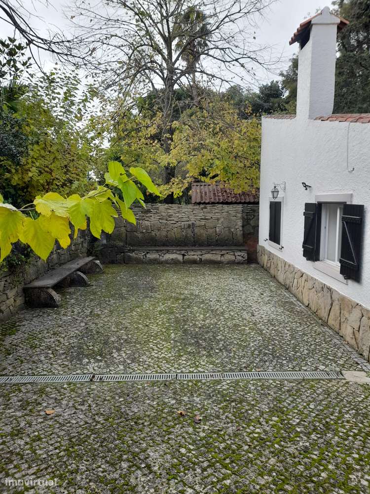 Azeitão/ Parque Natural Arrábida Quinta 7250 m2 com Moradia-29