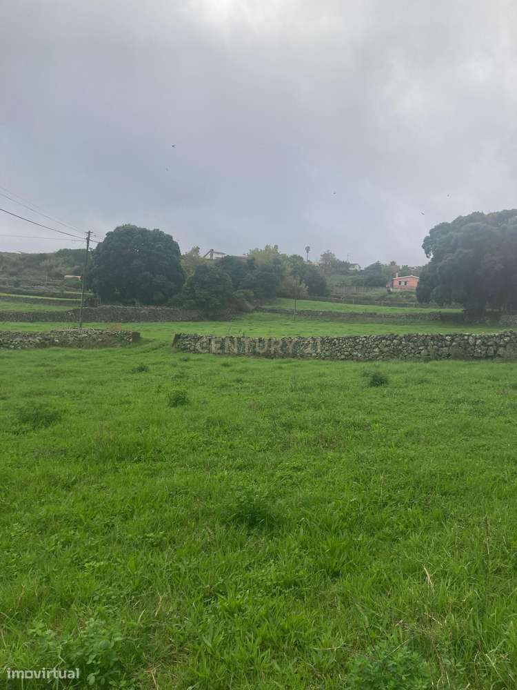 Fantástico terreno para investimento no concelho da Praia da Vitória - Grande imagem: 5/9